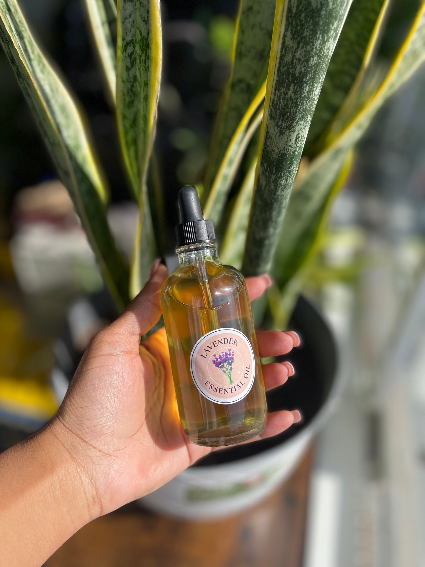 LAVENDER BODY OIL