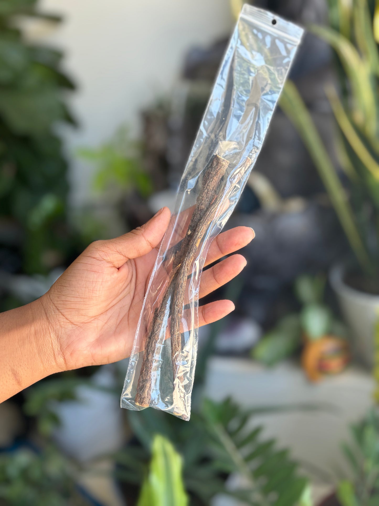 LICORICE STICKS FOR ULTIMATE GUM HEALTH 2ct