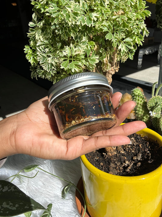 POKE ROOT