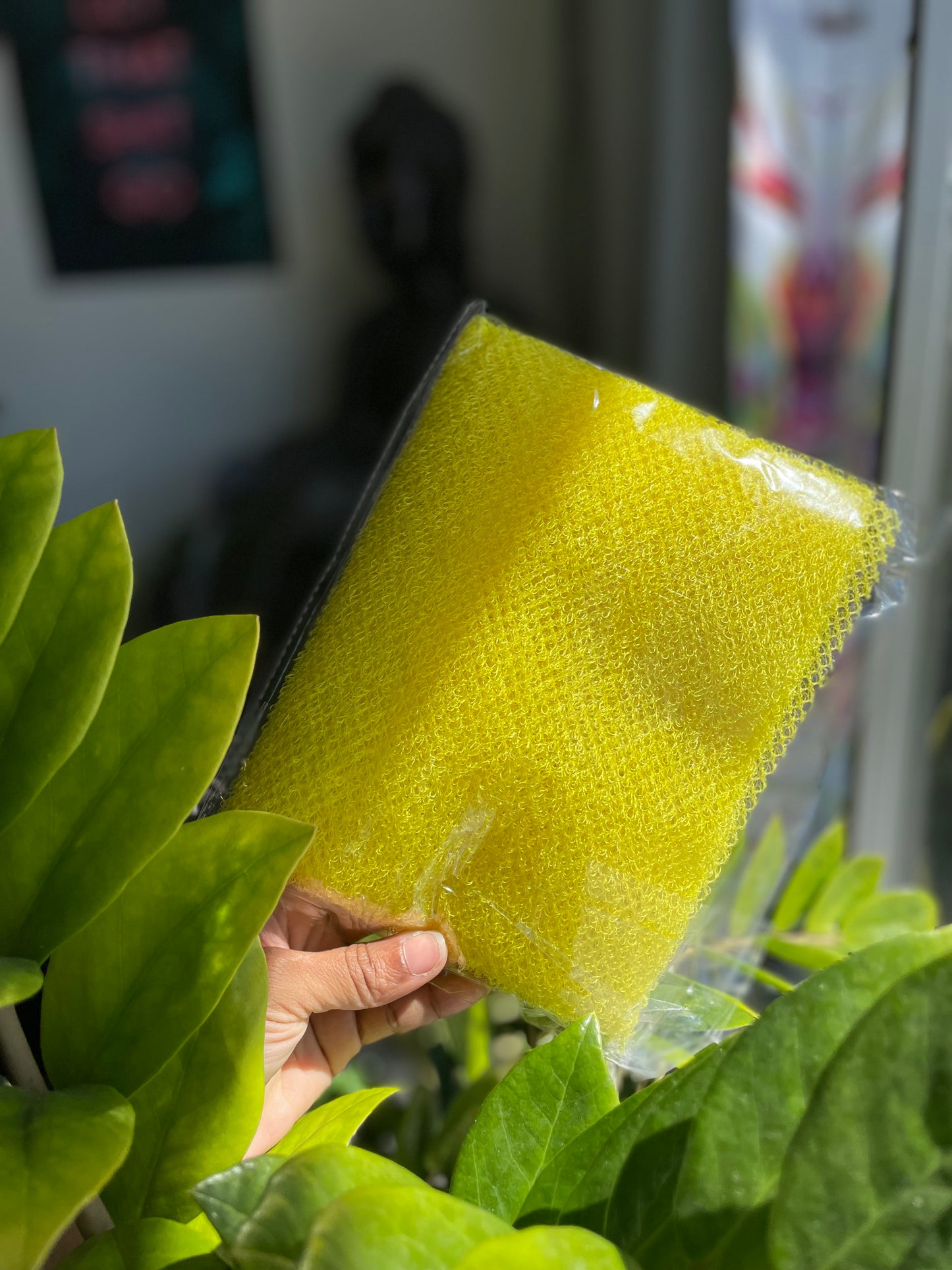 EXFOLIATING CLOTH
